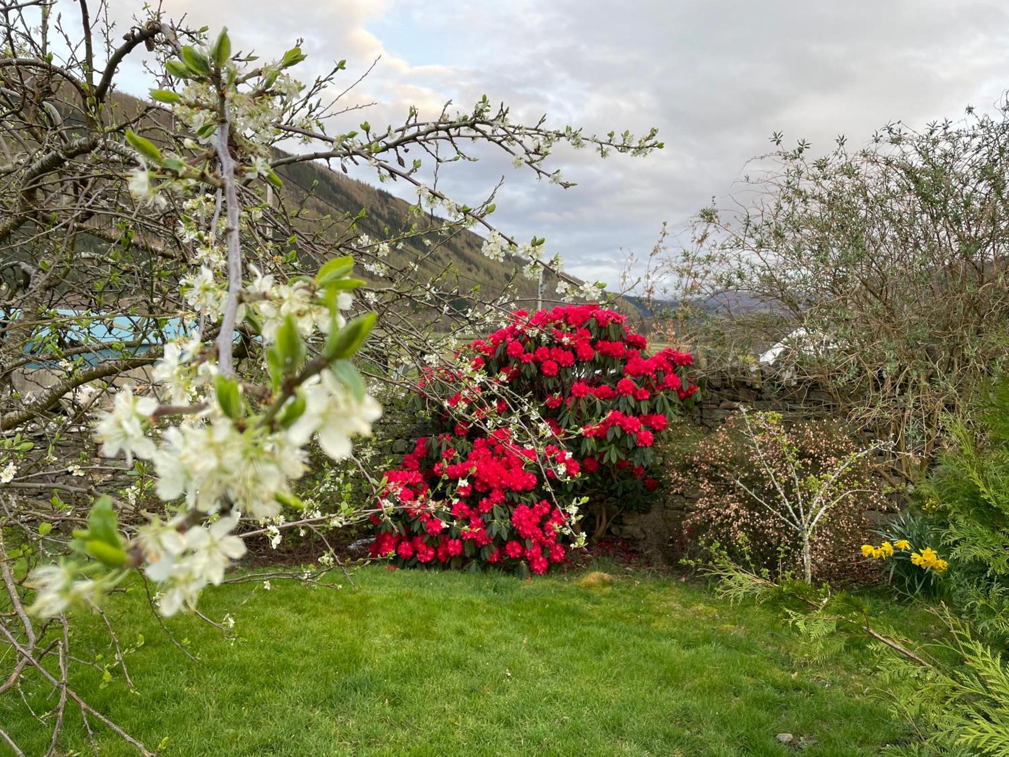 Clachan Garden B&B Garve Zewnętrze zdjęcie